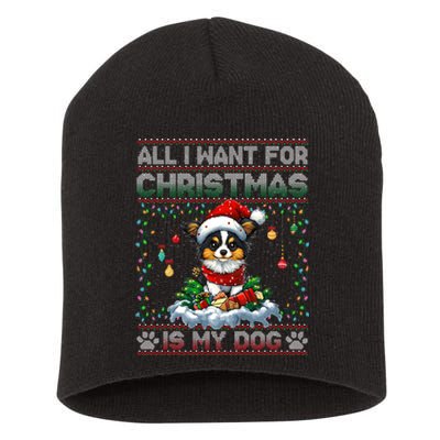 Papillon Christmas Tree Lights Decorations Dog Lover Xmas Long Sleeve Short Acrylic Beanie