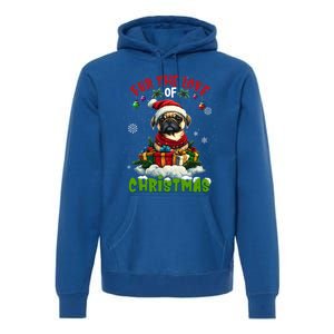 Pug Christmas Tree Lights Decorations Dog Lover Xmas Funny Gift Premium Hoodie