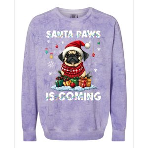 Pug Christmas Tree Lights Decorations Dog Lover Xmas Funny Gift Great Gift Colorblast Crewneck Sweatshirt