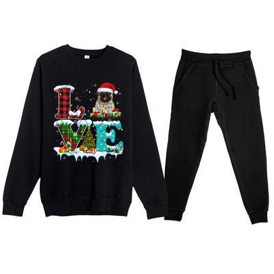 Pug Christmas Tree Lights Santa Dog Xmas Great Gift Premium Crewneck Sweatsuit Set