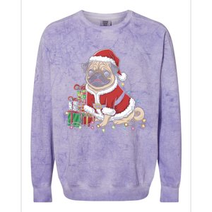 Pug Christmas Tree Xmas Lights For Pug Animal Dog Lover Cool Gift Colorblast Crewneck Sweatshirt