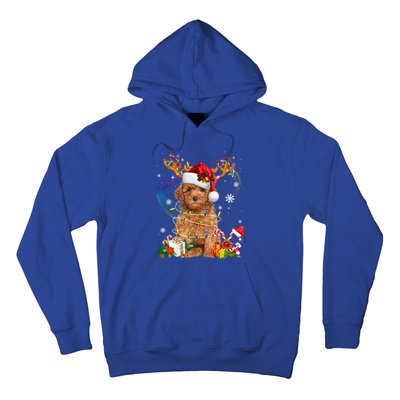 Poodle Christmas Tree Funny Lights Santa Hat Dog Lover Xmas Gift Hoodie