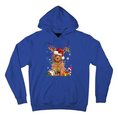 Poodle Christmas Tree Funny Lights Santa Hat Dog Lover Xmas Gift Tall Hoodie