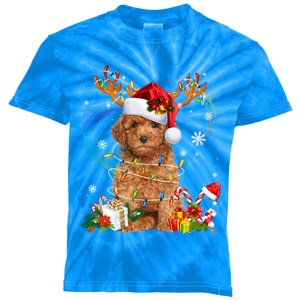 Poodle Christmas Tree Funny Lights Santa Hat Dog Lover Xmas Gift Kids Tie-Dye T-Shirt