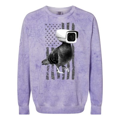 Pidgeon Camera USA Flag Colorblast Crewneck Sweatshirt