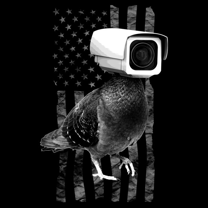 Pidgeon Camera USA Flag Apron