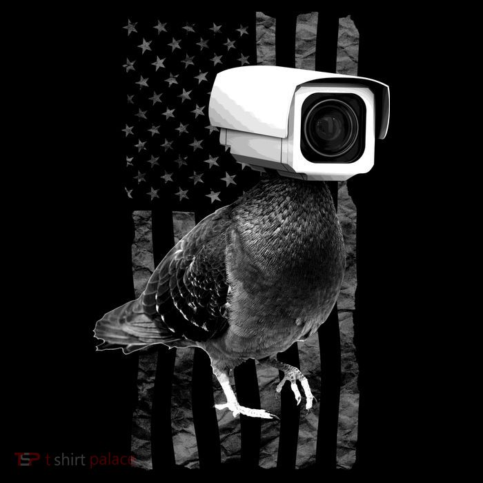 Pidgeon Camera USA Flag City Backpack