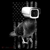 Pidgeon Camera USA Flag Button