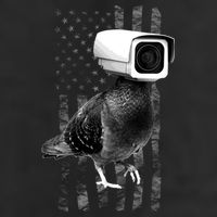 Pidgeon Camera USA Flag 15oz Campfire Ceramic Mug