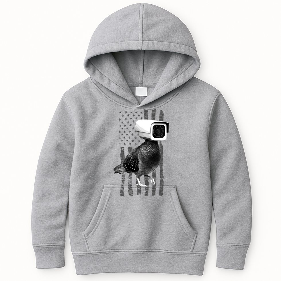 Pidgeon Camera USA Flag Kids Hoodie