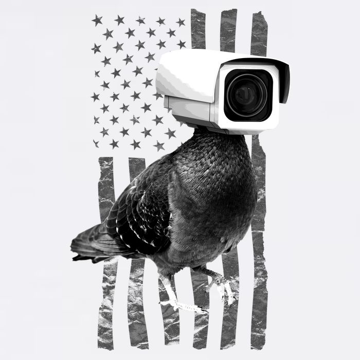 Pidgeon Camera USA Flag Garment-Dyed Sweatshirt