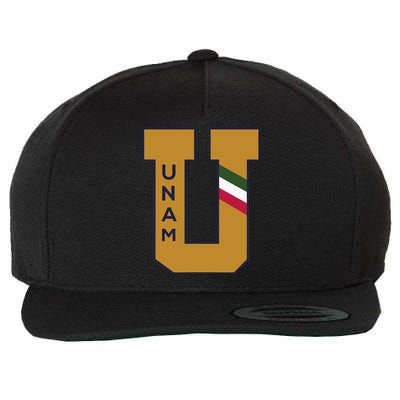 Pumas Club Universidad Nacional Wool Snapback Cap