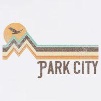 Park City Utah 70S 80S Retro Style Vintage Distressed Gift Hoodie