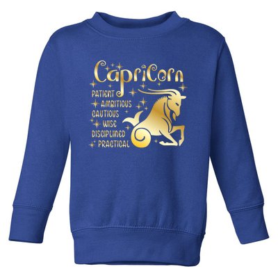 Personality Capricorn Zodiac Gift Toddler Sweatshirt