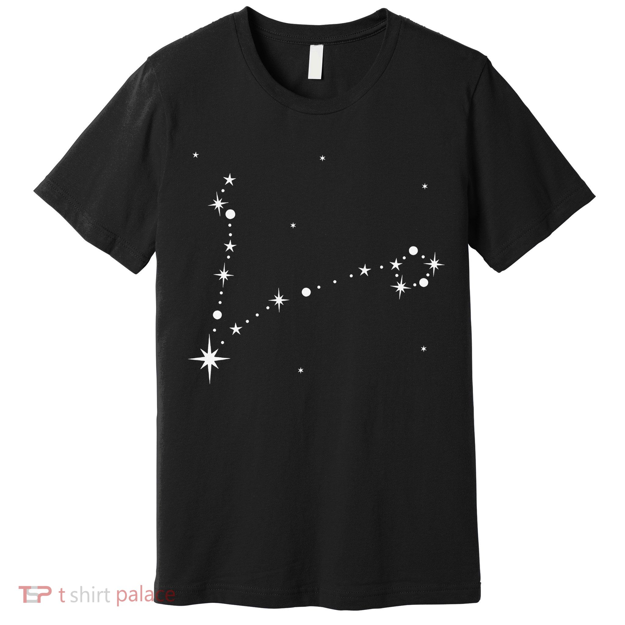 Pisces Constellation Zodiac Premium T-Shirt