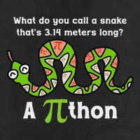 Pi Day 3.14 Pithon Python Math Teachers  Cool Comfort Performance Bucket Hat