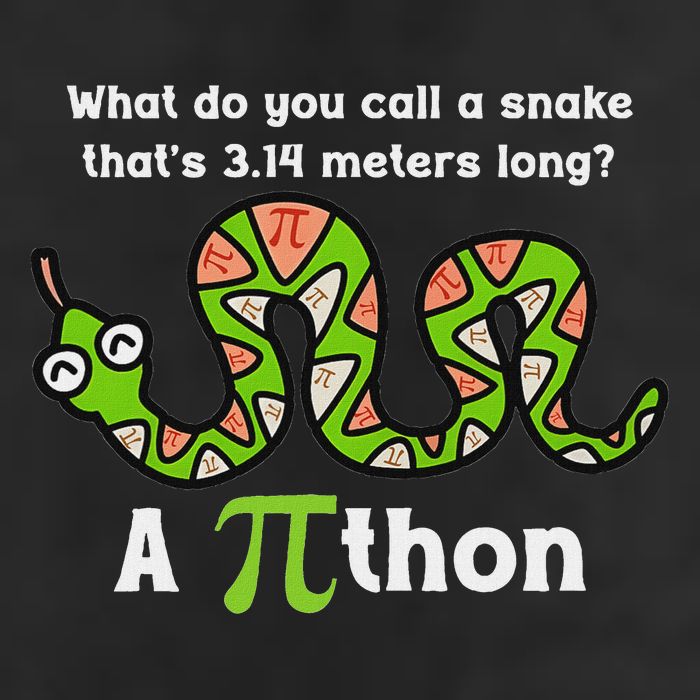 Pi Day 3.14 Pithon Python Math Teachers  Knit Cap Winter Beanie