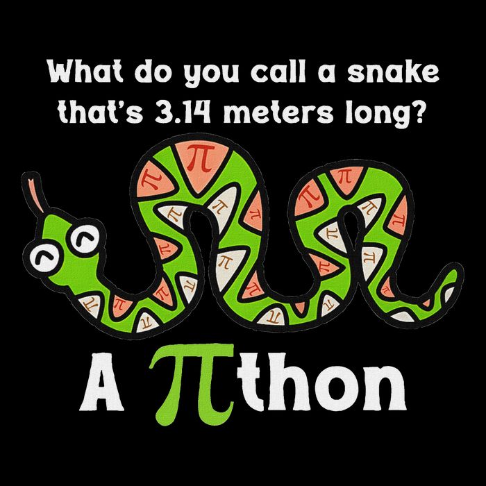 Pi Day 3.14 Pithon Python Math Teachers  Cooling Performance Long Sleeve Crew