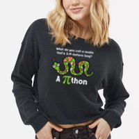 Pi Day 3.14 Pithon Python Math Teachers  Cropped Pullover Crew