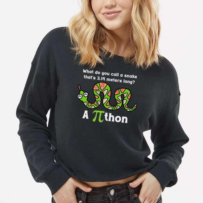 Pi Day 3.14 Pithon Python Math Teachers  Cropped Pullover Crew