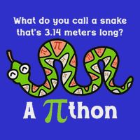 Pi Day 3.14 Pithon Python Math Teachers  16 in Basic Backpack