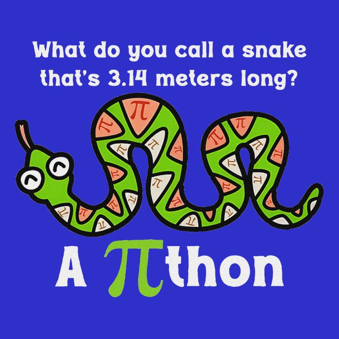 Pi Day 3.14 Pithon Python Math Teachers  16 in Basic Backpack