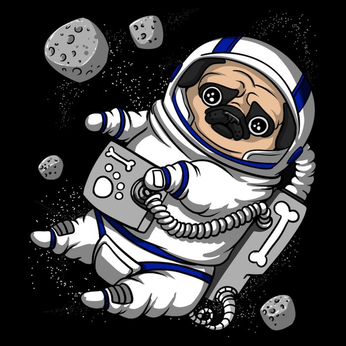 Pug Dog Astronaut Funny Space Cosmic Girl Boy Backpack
