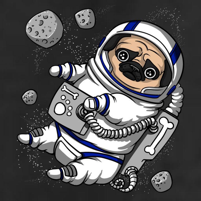 Pug Dog Astronaut Funny Space Cosmic Girl Boy 15oz Campfire Ceramic Mug