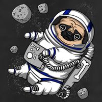 Pug Dog Astronaut Funny Space Cosmic Girl Boy 12oz Stainless Steel Coffee Mug