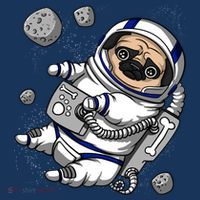 Pug Dog Astronaut Funny Space Cosmic Girl Boy Sustainable Bucket Hat