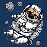 Pug Dog Astronaut Funny Space Cosmic Girl Boy Flat Bill Trucker Hat