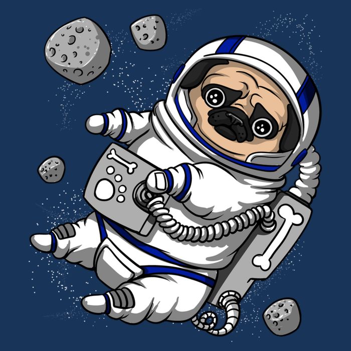 Pug Dog Astronaut Funny Space Cosmic Girl Boy Flat Bill Trucker Hat