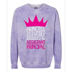 Princess Disguised As Assistant Principal Cute Gift Colorblast Crewneck Sweatshirt