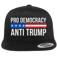 Pro Democracy Anti Trump Flat Bill Trucker Hat
