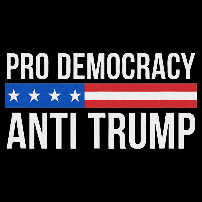 Pro Democracy Anti Trump Flat Bill Trucker Hat
