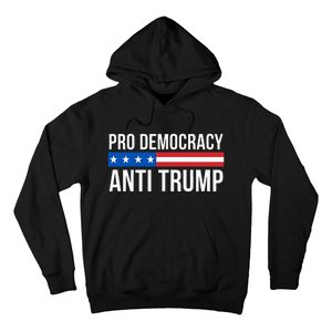 Pro Democracy Anti Trump Hoodie