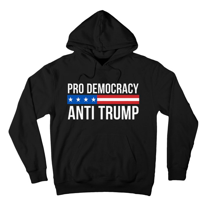 Pro Democracy Anti Trump Hoodie