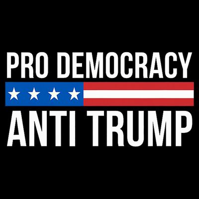 Pro Democracy Anti Trump T-Shirt
