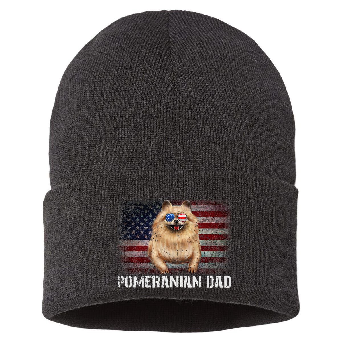 Pomeranian Dad American Pomeranian Dog US Flag 4th Of July Sustainable Knit Beanie