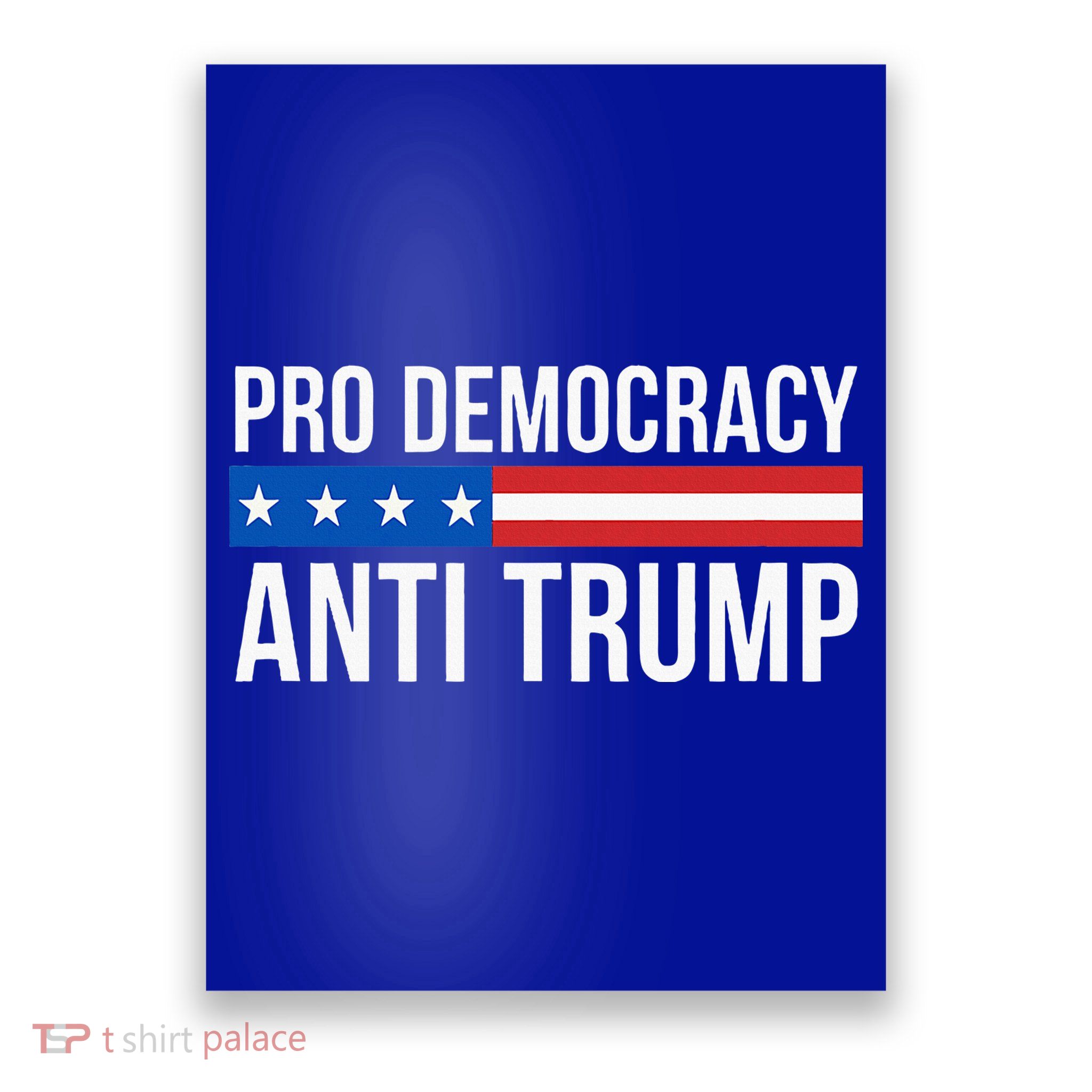 Pro Democracy Anti Trump Poster