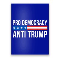Pro Democracy Anti Trump Poster