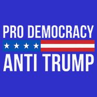 Pro Democracy Anti Trump Poster
