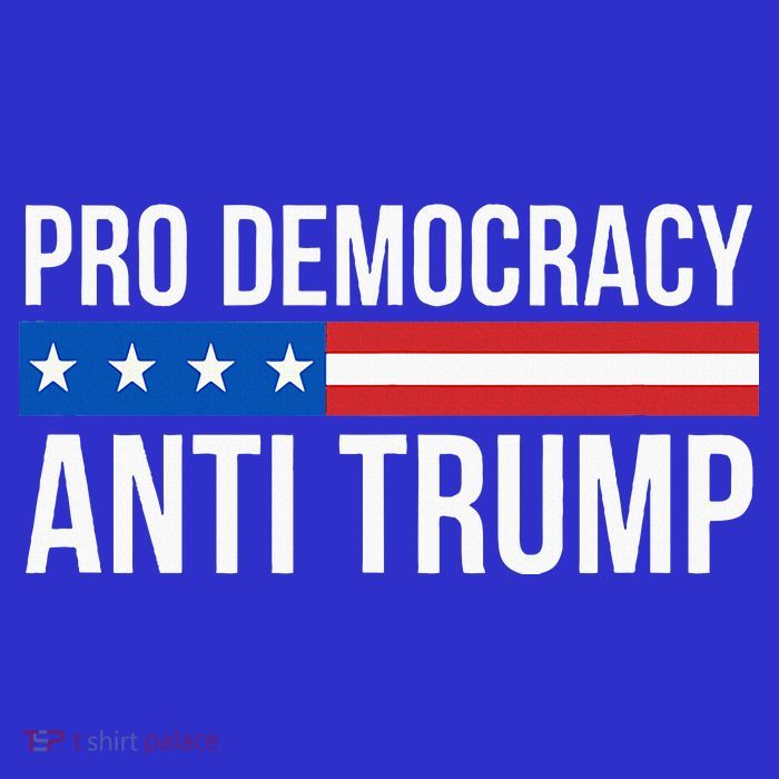 Pro Democracy Anti Trump Womens T-Shirt
