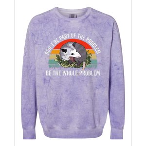 Possum DonT Be Part Of The Problem Be The Whole Problem Colorblast Crewneck Sweatshirt