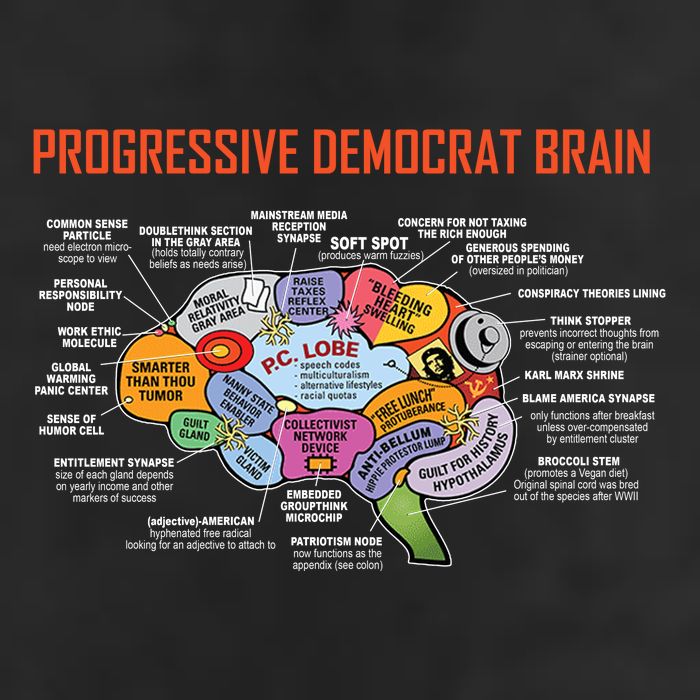 Progressive Democrat Brain Diagram Funny 25L Jumbo Tote