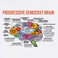 Progressive Democrat Brain Diagram Funny Tall T-Shirt
