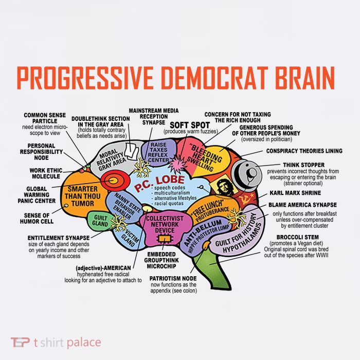Progressive Democrat Brain Diagram Funny Sustainable Bucket Hat