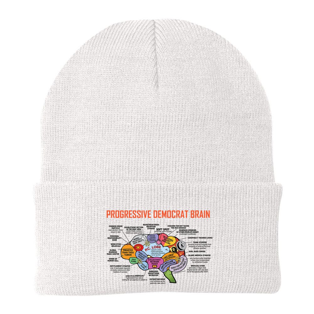 Progressive Democrat Brain Diagram Funny Beanie