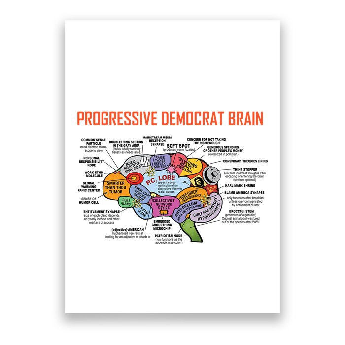 Progressive Democrat Brain Diagram Funny Poster