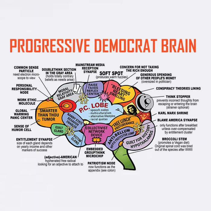 Progressive Democrat Brain Diagram Funny Premium T-Shirt